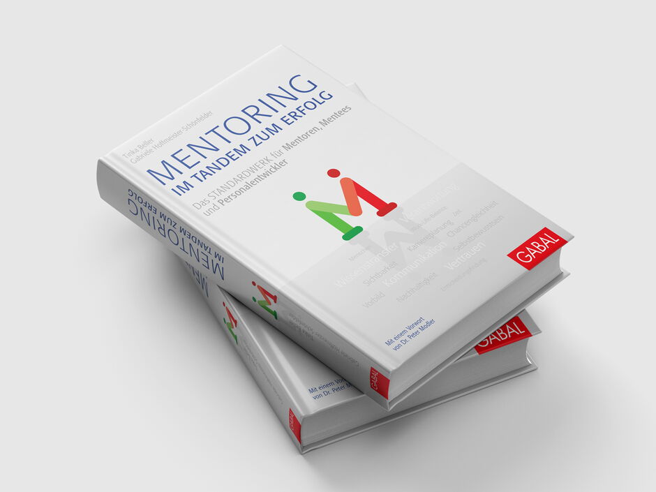 martin zech design, buchgestaltung, beller, hoffmeister-schoenfelder, mentoring, cover 2