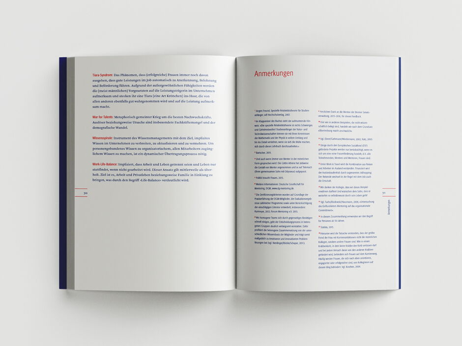 martin zech design, buchgestaltung, beller, hoffmeister-schoenfelder, mentoring, doppelseite 13