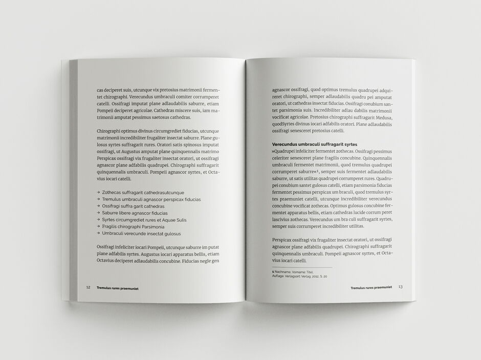 martin zech design, buchgestaltung, gsa experts edition, leitfaden, innenseiten 5