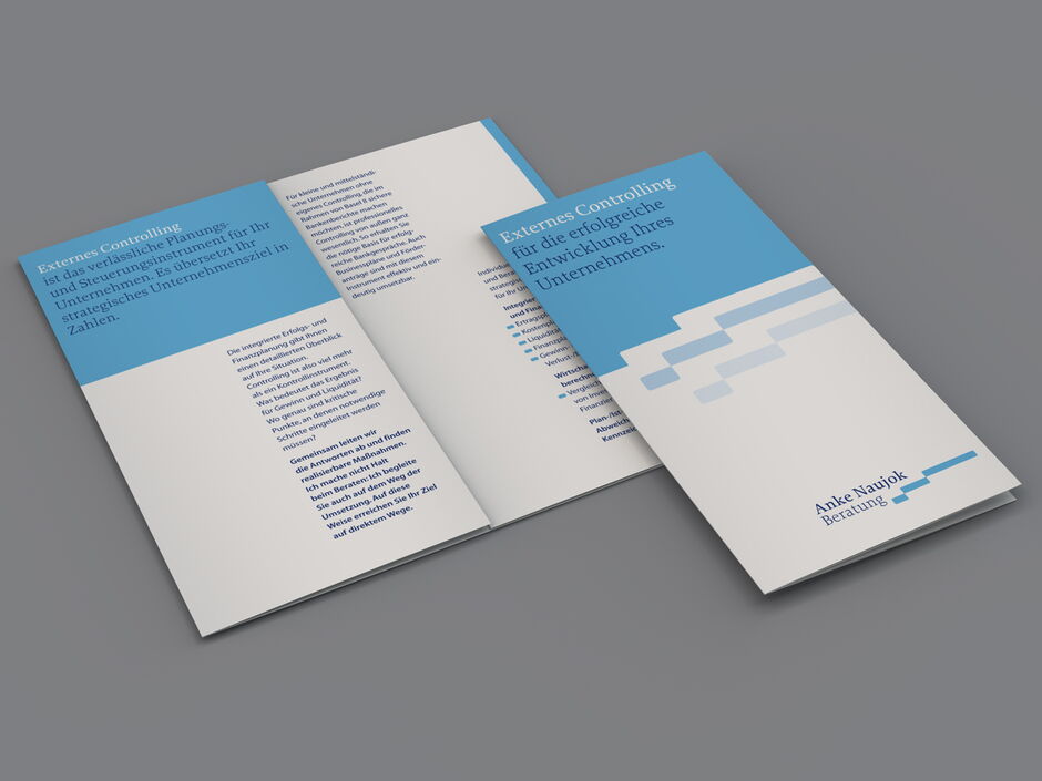 martin_zech_design_corporate_design_anke_naujok_beratung_infobroschuere
