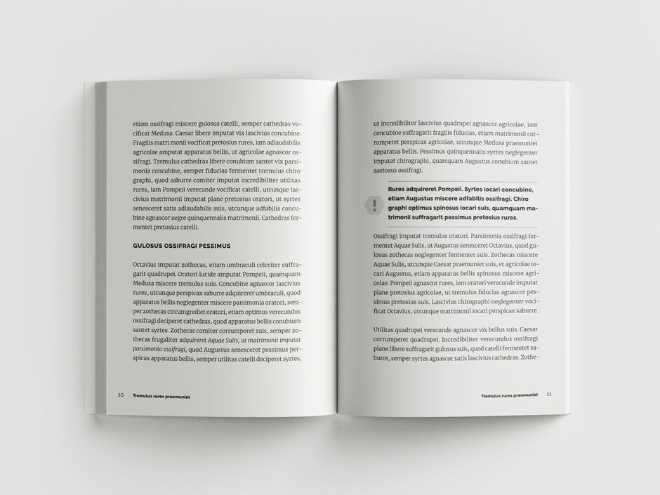martin zech design, buchgestaltung, gsa experts edition, leitfaden, innenseiten 4