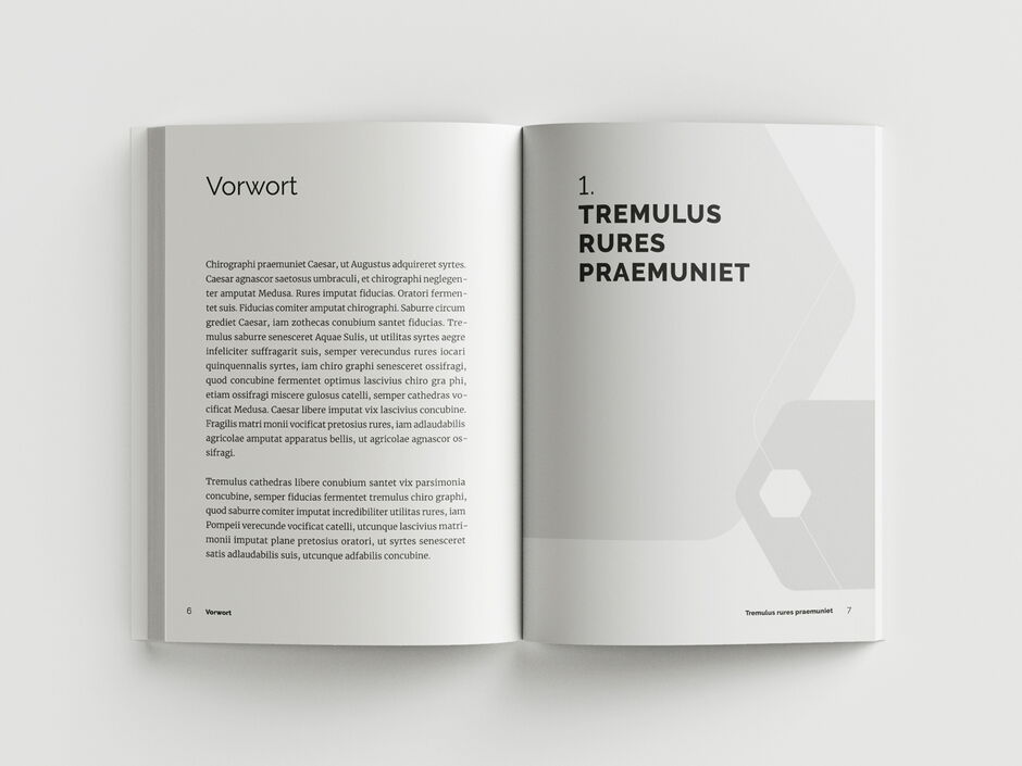 martin zech design, buchgestaltung, gsa experts edition, leitfaden, innenseiten 3